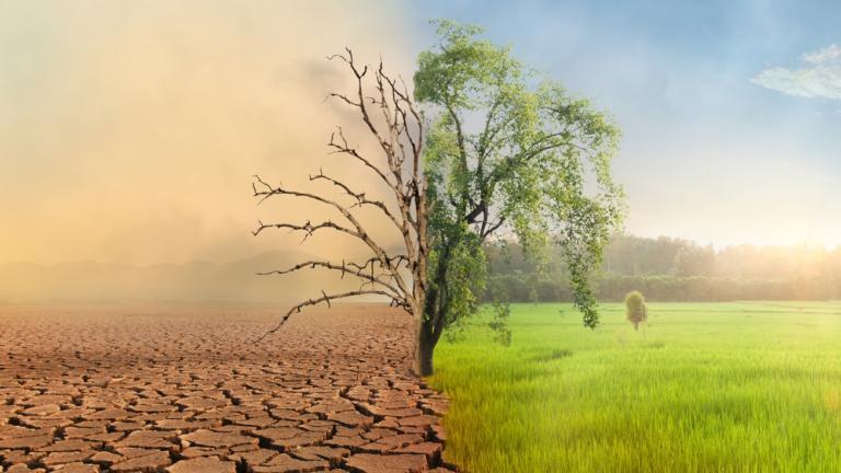 Revelación de riesgos climáticos